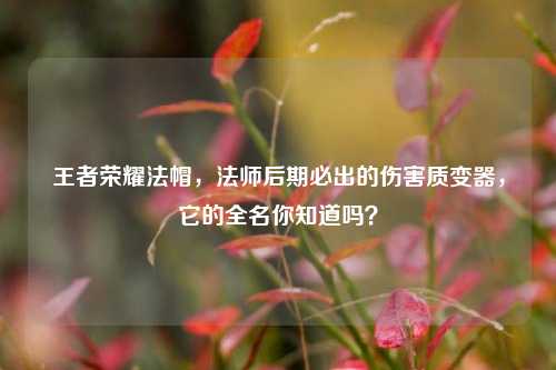 王者荣耀法帽,法师后期必出的伤害质变器,它的全名你知道吗?