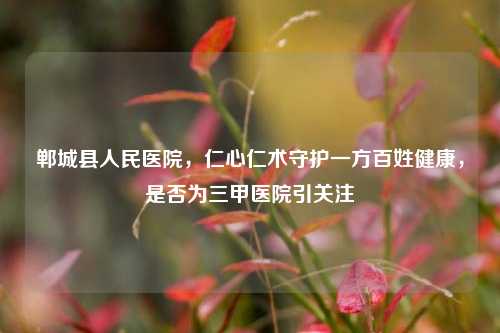 郸城县人民医院,仁心仁术守护一方百姓健康,是否为三甲医院引关注