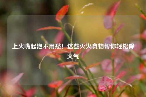 上火嘴起泡不用愁!这些灭火食物帮你轻松降火气