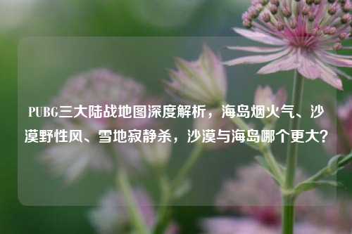 PUBG三大陆战地图深度解析,海岛烟火气、沙漠野性风、雪地寂静杀,沙漠与海岛哪个更大?