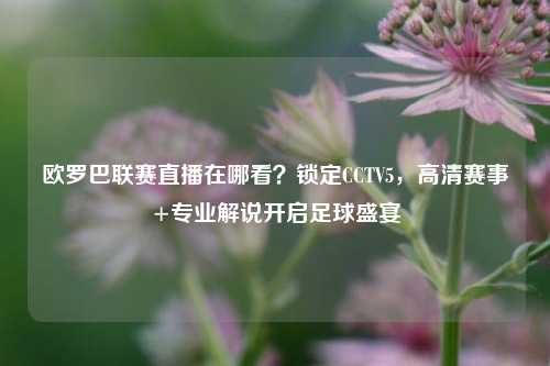 欧罗巴联赛直播在哪看?锁定CCTV5,高清赛事+专业解说开启足球盛宴