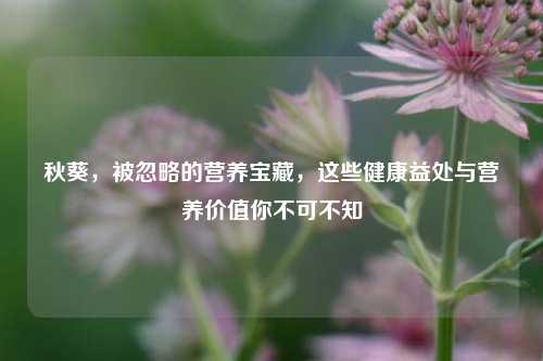 秋葵,被忽略的营养宝藏,这些健康益处与营养价值你不可不知