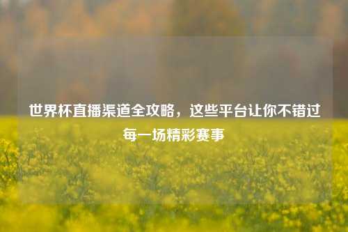 世界杯直播渠道全攻略,这些平台让你不错过每一场精彩赛事
