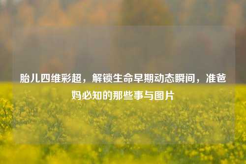 胎儿四维彩超,解锁生命早期动态瞬间,准爸妈必知的那些事与图片