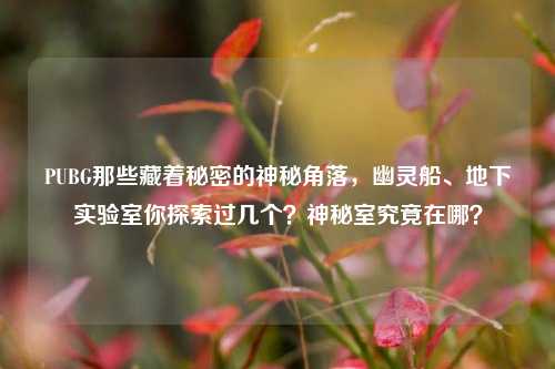 PUBG那些藏着秘密的神秘角落,幽灵船、地下实验室你探索过几个?神秘室究竟在哪?