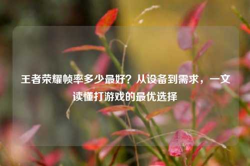 王者荣耀帧率多少更好?从设备到需求,一文读懂打游戏的更优选择