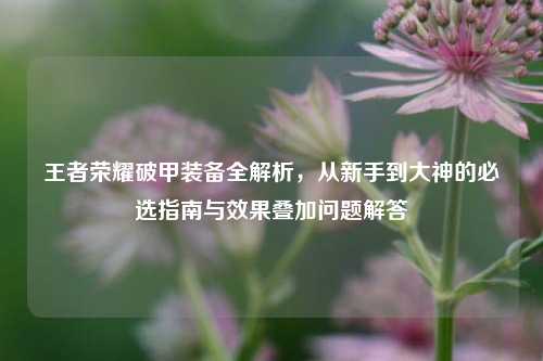 王者荣耀破甲装备全解析，从新手到大神的必选指南与效果叠加问题解答