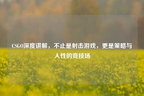 CSGO深度讲解,不止是射击游戏,更是策略与人性的竞技场