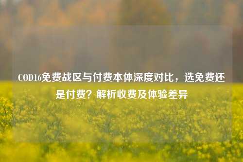COD16免费战区与付费本体深度对比,选免费还是付费?解析收费及体验差异