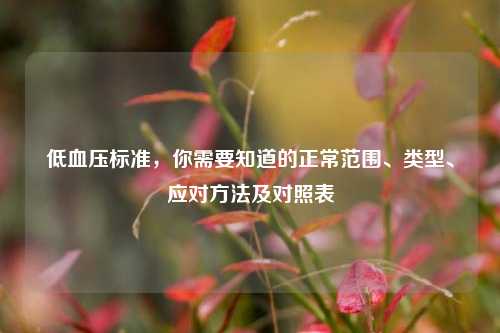 低血压标准,你需要知道的正常范围、类型、应对 *** 及对照表