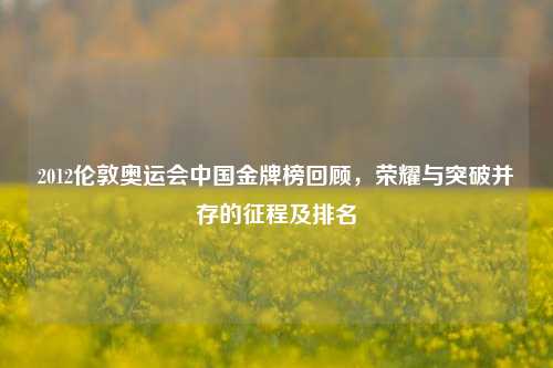 2012伦敦奥运会中国金牌榜回顾,荣耀与突破并存的征程及排名