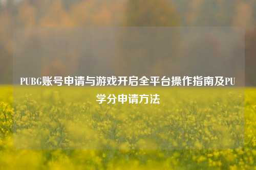 PUBG账号申请与游戏开启全平台操作指南及PU学分申请 ***