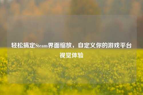 轻松搞定Steam界面缩放,自定义你的游戏平台视觉体验