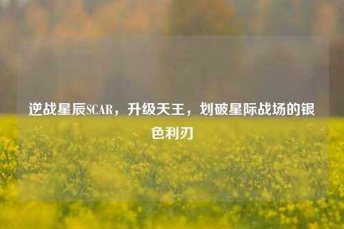 逆战星辰SCAR，升级天王，划破星际战场的银色利刃