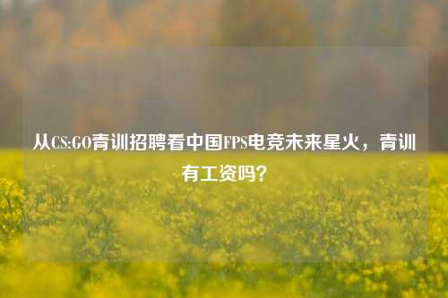 从CS:GO青训 *** 看中国FPS电竞未来星火，青训有工资吗？