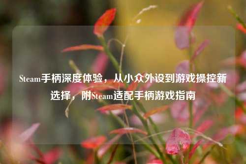 Steam手柄深度体验,从小众外设到游戏操控新选择,附Steam适配手柄游戏指南