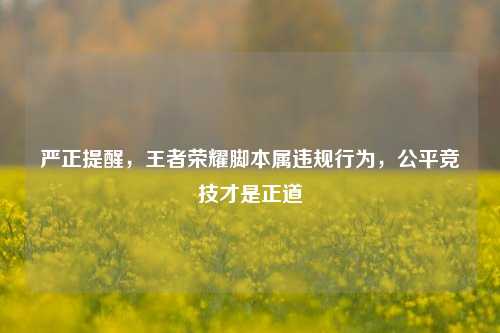 严正提醒，王者荣耀脚本属违规行为，公平竞技才是正道