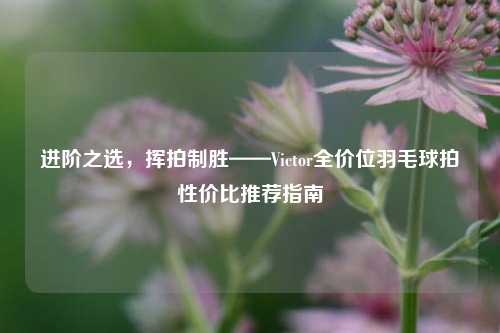 进阶之选，挥拍制胜——Victor全价位羽毛球拍性价比推荐指南