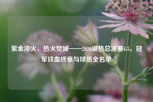 紫金淬火，热火焚城——2020湖热总决赛G5，冠军铁血终章与球员全名单