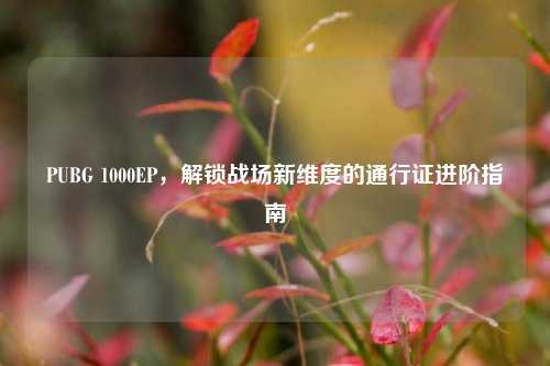 PUBG 1000EP，解锁战场新维度的通行证进阶指南