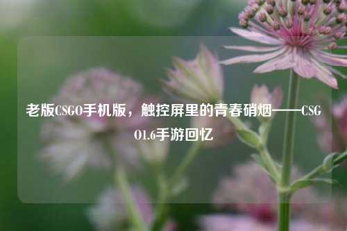 老版CSGO手机版，触控屏里的青春硝烟——CSGO1.6手游回忆