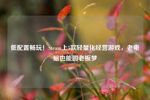 低配置畅玩！Steam上5款轻量化经营游戏，老电脑也能圆老板梦