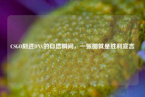 CSGO刻进DNA的自信瞬间,一张图就是胜利宣言