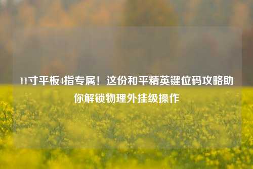 11寸平板4指专属！这份和平精英键位码攻略助你解锁物理外挂级操作