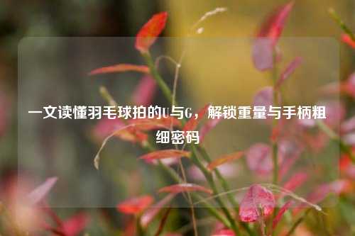 一文读懂羽毛球拍的U与G，解锁重量与手柄粗细密码