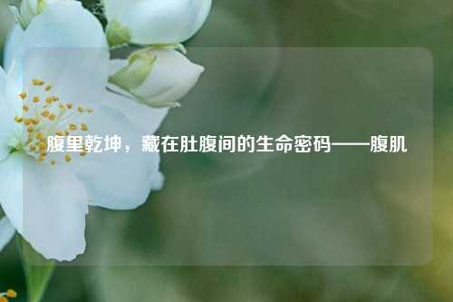腹里乾坤，藏在肚腹间的生命密码——腹肌