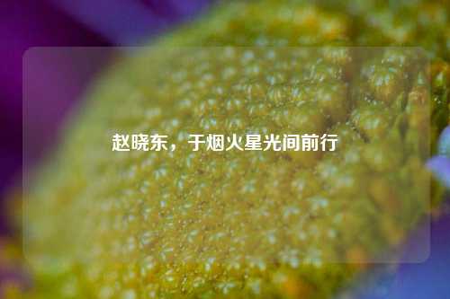 赵晓东，于烟火星光间前行