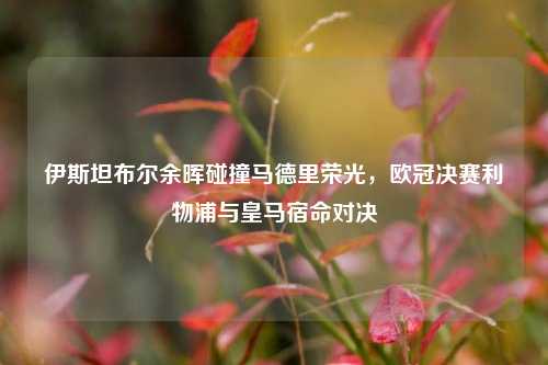 伊斯坦布尔余晖碰撞马德里荣光，欧冠决赛利物浦与皇马宿命对决