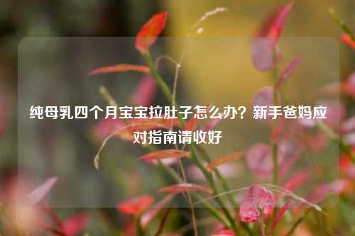 纯母乳四个月宝宝拉肚子怎么办？新手爸妈应对指南请收好