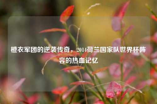 橙衣军团的逆袭传奇，2014荷兰国家队世界杯阵容的热血记忆