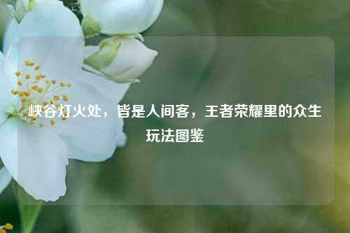 峡谷灯火处，皆是人间客，王者荣耀里的众生玩法图鉴