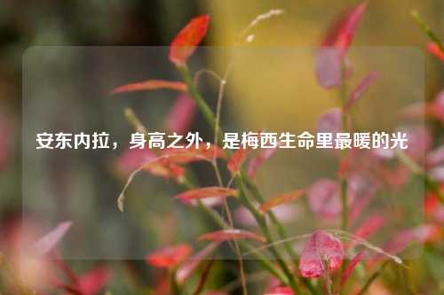 安东内拉，身高之外，是梅西生命里最暖的光