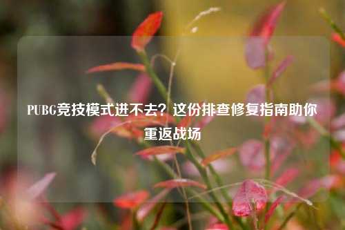 PUBG竞技模式进不去？这份排查修复指南助你重返战场