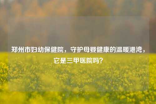 郑州市妇幼保健院，守护母婴健康的温暖港湾，它是三甲医院吗？