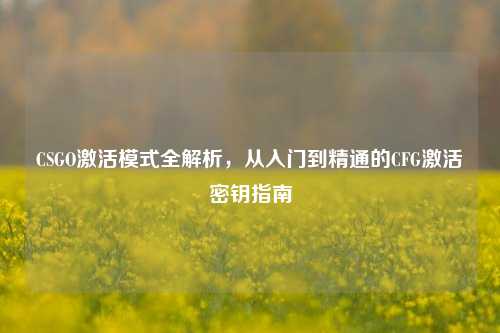 CSGO激活模式全解析,从入门到精通的CFG激活密钥指南
