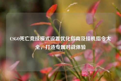 CSGO死亡竞技模式设置优化指南及挂机指令大全，打造专属对战体验