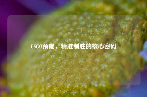 CSGO预瞄，精准制胜的核心密码