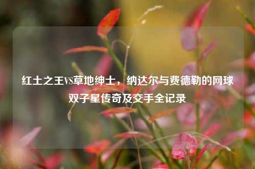 红土之王VS草地绅士,纳达尔与费德勒的网球双子星传奇及交手全记录
