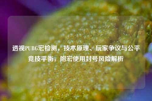 透视PUBG宏检测，技术原理、玩家争议与公平竞技平衡，附宏使用封号风险解析