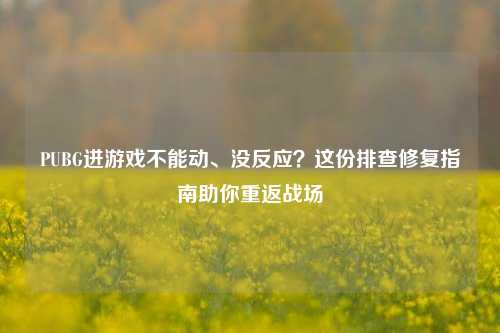 PUBG进游戏不能动、没反应?这份排查修复指南助你重返战场