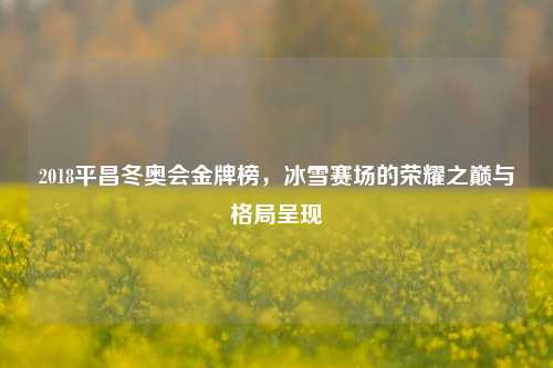2018平昌冬奥会金牌榜，冰雪赛场的荣耀之巅与格局呈现