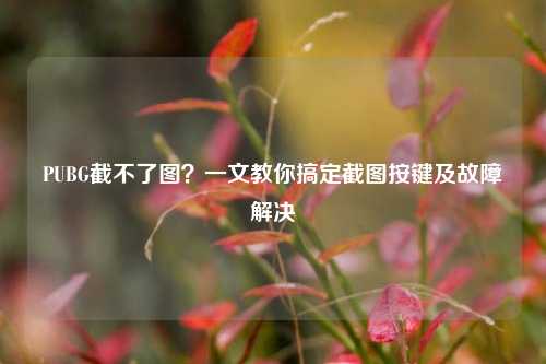 PUBG截不了图？一文教你搞定截图按键及故障解决