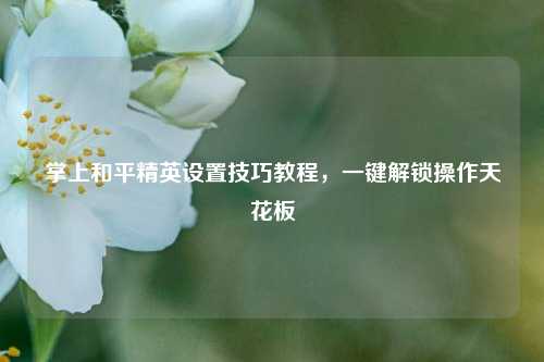掌上和平精英设置技巧教程,一键解锁操作天花板