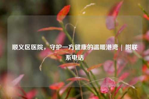 顺义区医院，守护一方健康的温暖港湾 | 附联系 *** 