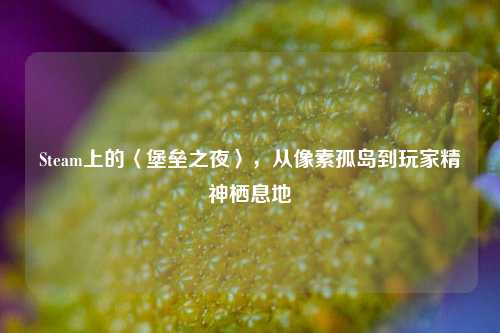 Steam上的〈堡垒之夜〉，从像素孤岛到玩家精神栖息地