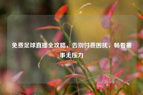 免费足球直播全攻略,告别付费困扰,畅看赛事无压力